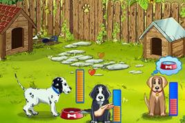 小狗收容所 小狗收容所