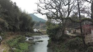 葛竹村[福建省漳州市南靖縣南坑鎮下轄村]