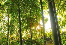 滄浪亭高清組圖