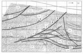 構造三角帶 構造三角帶