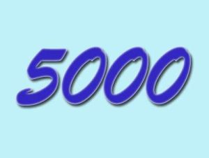 5000 5000