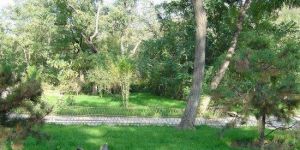 勃利紅星 勃利紅星