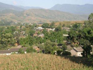 麻櫟林自然村 麻櫟林自然村