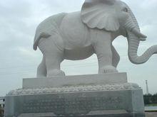 靖海石象,靖海,象城,