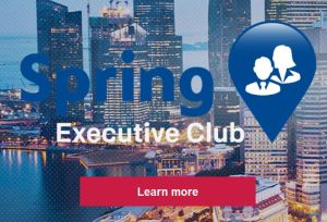 Spring Professional Spring Professional