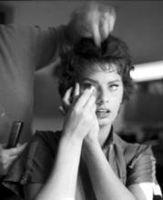 索菲亞&middot;羅蘭