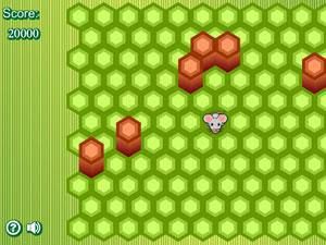 小老鼠陷阱 小老鼠陷阱