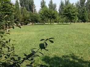 鄧各莊村 鄧各莊村