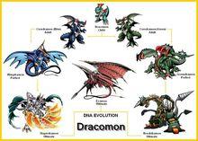 Dracomon‘s Evolution Line