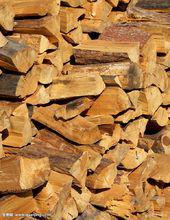 木頭[漢語詞語]