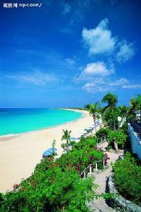 芳草[詞語概念]