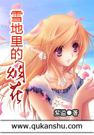 雪地里的煙花 雪地里的煙花