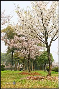 東湖磨山風景區