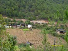 後山自然村[雲南迪慶維西縣塔城鎮其宗行政村後山自然村]