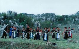 彝族鈴鐺舞 彝族鈴鐺舞