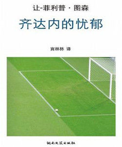 齊達內的憂鬱 齊達內的憂鬱