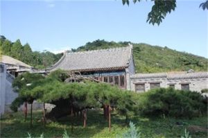 黑山寨村 黑山寨村