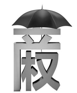 關於完善產權保護制度依法保護產權的意見