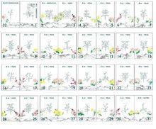 三十二頁護照內頁