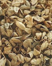 蕎麥枕頭 蕎麥枕頭