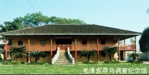 尋烏調查 尋烏調查