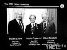 埃文斯、卡佩基和奧利弗·史密斯