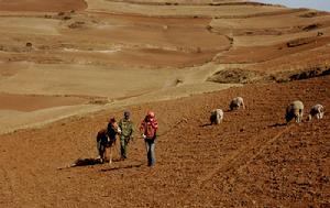 （圖）土地資產