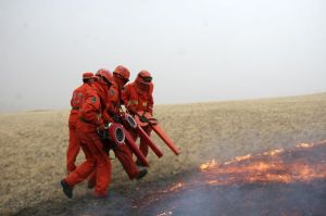 5·17呼倫貝爾森林草原火災 5·17呼倫貝爾森林草原火災