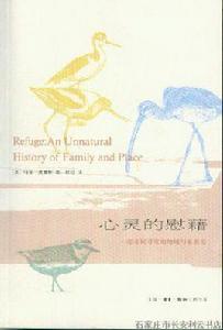 心靈的慰藉:一部非同尋常的地域與家族史 心靈的慰藉:一部非同尋常的地域與家族史