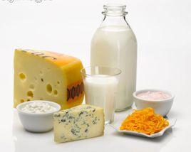 發酵食物 發酵食物