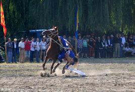 東野稷敗馬 東野稷敗馬