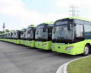 上海松江11路 上海松江11路