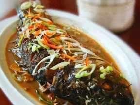 家常紅燒鯉魚 家常紅燒鯉魚