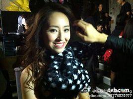 張敬仁[2013香港小姐]