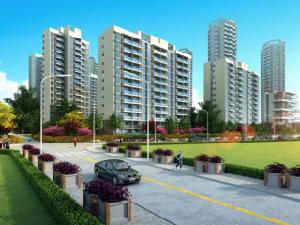 碧海鵬城 碧海鵬城