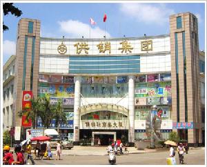 高要市供銷集團有限公司