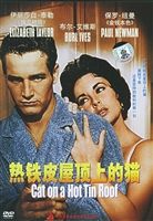 《熱鐵皮屋頂上的貓》