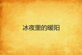 冰夜裡的暖陽 冰夜裡的暖陽