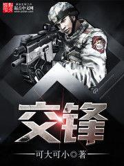 交鋒[起點中文網小說]