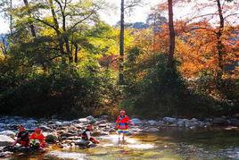 九龍江森林公園 九龍江森林公園