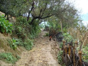 積水塘村 積水塘村