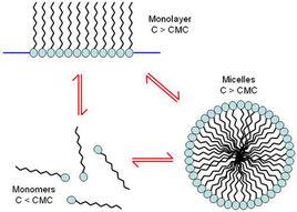 動態光散射 動態光散射