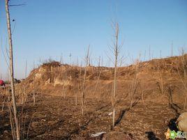 易陽古城 易陽古城