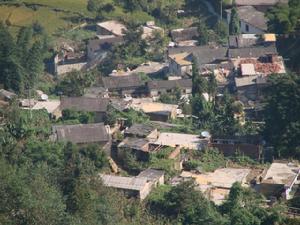 韋家寨村 韋家寨村