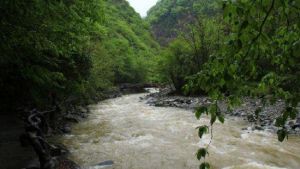 千家坪公園 千家坪公園