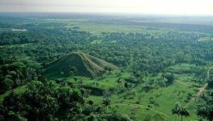 阿亞帕涅科語 阿亞帕涅科語