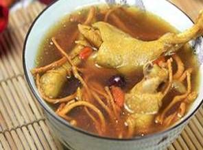 冬蟲夏草水鴨湯