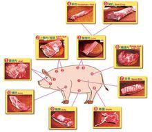豬肉分割圖