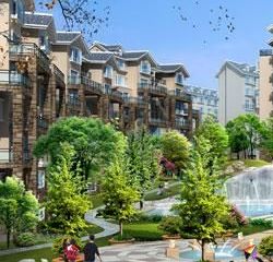 興現金鼎龍泉 興現金鼎龍泉