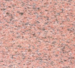 莎利士紅 | Salisbury Pink |